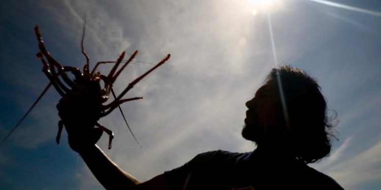 Foto: Lahok dari Simeulue