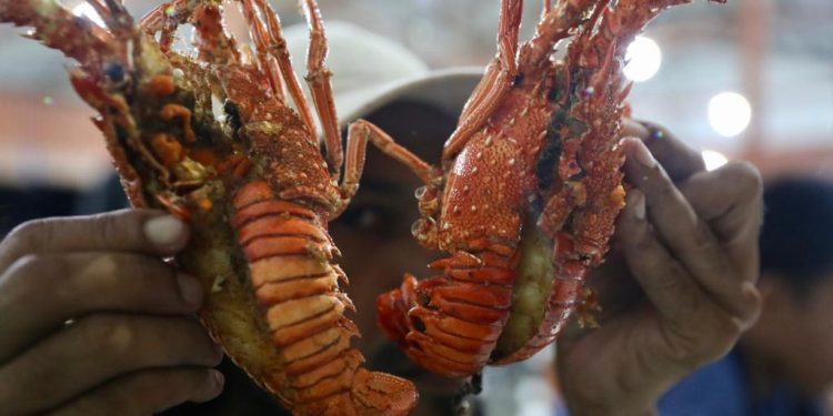 Foto: Lahok dari Simeulue