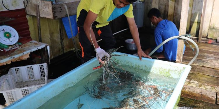 Foto: Lahok dari Simeulue