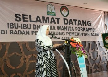 Program Kerja Sebagai Pemanfaatan Fungsi FORKAPPSI