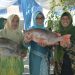 Dua Ikan di Aceh ini Punya Nilai Protein Tinggi