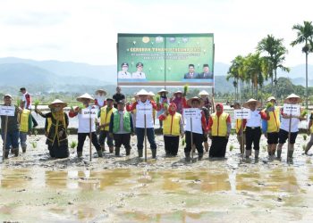 Plt Gubernur: Varietas Padi di Aceh tidak Kalah dengan Daerah Lain