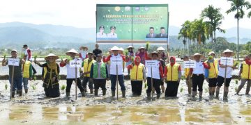 Plt Gubernur: Varietas Padi di Aceh tidak Kalah dengan Daerah Lain