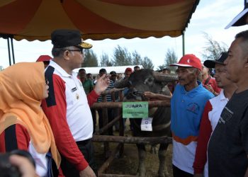 Plt Gubernur Apresiasi Kinerja Pelaku Peternakan di Aceh