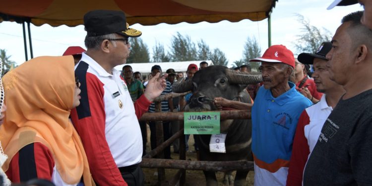 Plt Gubernur Apresiasi Kinerja Pelaku Peternakan di Aceh