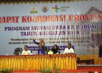 Di Depan Pendamping Desa, Dyah Bicara Pencegahan dan Penanganan Stunting