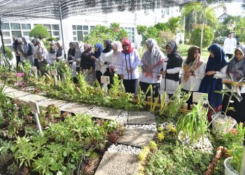 Sekda Aceh Ajak ASN Tanam Tanaman Obat