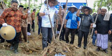 Dorong Kemandirian Dayah dengan Agro Ekonomi
