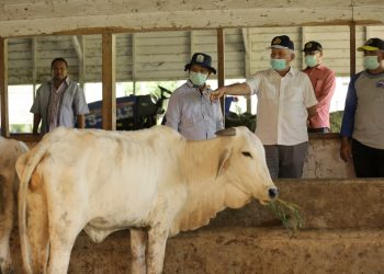 Sekda Instruksikan UPTD-IBI Saree Tingkatkan Kinerja
