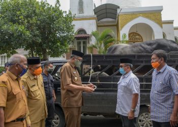 Plt Gubernur Aceh Serahkan Sapi Kurban Bantuan Presiden