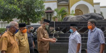 Plt Gubernur Aceh Serahkan Sapi Kurban Bantuan Presiden