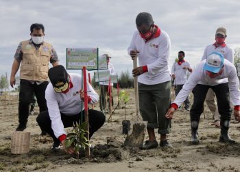 Plt Gubernur Aceh Tanam Mangrove di Lamguron