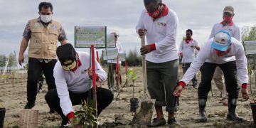 Plt Gubernur Aceh Tanam Mangrove di Lamguron