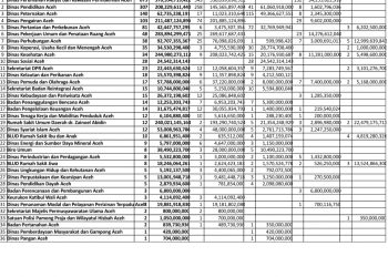 Pemerintah Aceh Umumkan Tender APBA 2021 Rp.2,4 Triliun