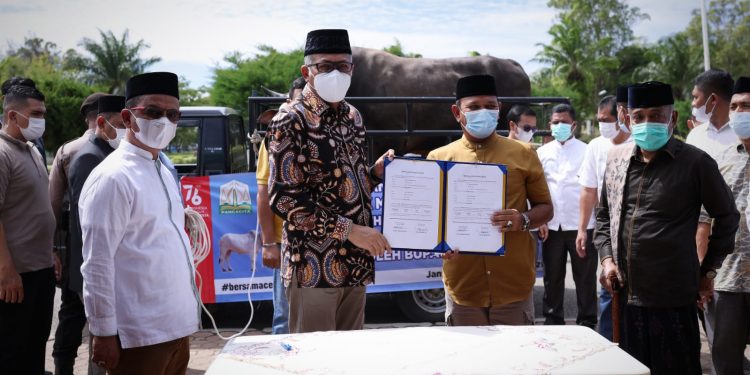 Gubernur Serahkan Sapi Kurban Presiden untuk Masyarakat Aceh Besar