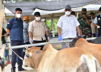 Pengajuan Permintaan Vaksin PMK harus Berdasarkan Data Riil