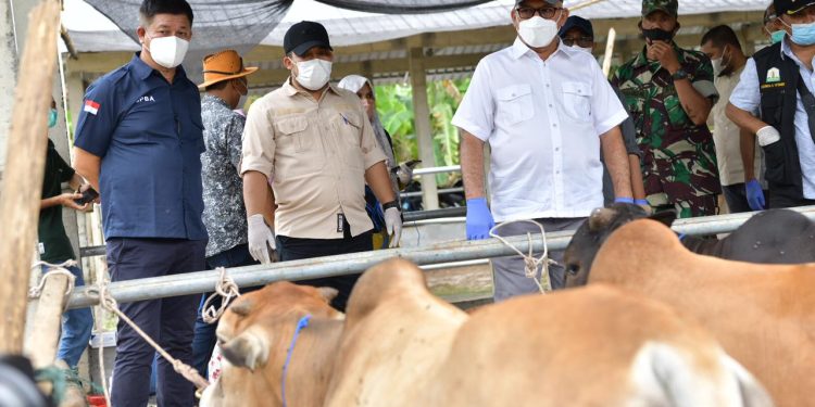 Pengajuan Permintaan Vaksin PMK harus Berdasarkan Data Riil