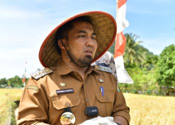 Panen Padi Perdana di Lhoong, Pj. Bupati: Langkah Bersama Menahan Laju Inflasi di Aceh Besar