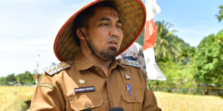 Panen Padi Perdana di Lhoong, Pj. Bupati: Langkah Bersama Menahan Laju Inflasi di Aceh Besar