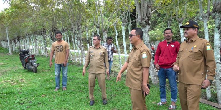 Tindaklanjuti Laporan Warga, Pemerintah Aceh Ajak BKSDA Berpatroli di Lokasi Serangan Ajag