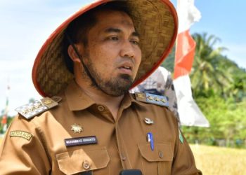 Panen Padi Perdana di Lhoong, Pj. Bupati: Langkah Bersama Menahan Laju Inflasi di Aceh Besar