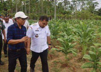 Gelar Pertemuan dengan Petani Tembakau, Pj Bupati Tegaskan Tekad Makmurkan Petani Aceh Besar