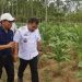 Gelar Pertemuan dengan Petani Tembakau, Pj Bupati Tegaskan Tekad Makmurkan Petani Aceh Besar
