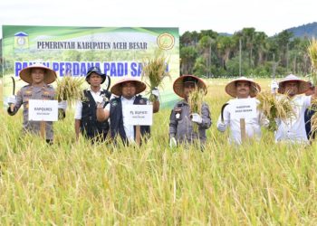 Pemkab Aceh Besar Komit Perkuat Sektor Pangan