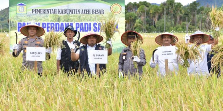 Pemkab Aceh Besar Komit Perkuat Sektor Pangan