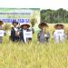 Pemkab Aceh Besar Komit Perkuat Sektor Pangan