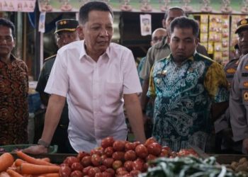 Tindak Lanjut Arahan Presiden Terkait Inflasi, Penjabat Gubernur Tinjau Pasar Lambaro