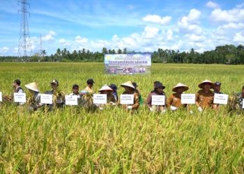 Tahun 2023 Ketersediaan Pupuk Subsidi Aceh Besar Aman