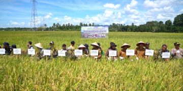 Tahun 2023 Ketersediaan Pupuk Subsidi Aceh Besar Aman