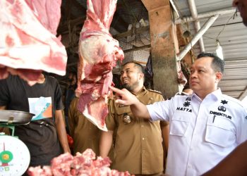 Jelang Lebaran, Direktur PSP Kementan dan Pj Bupati Monitor Ketersediaan dan Harga Pangan di Aceh Besar