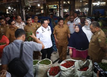 Ditjen PSP Kementan RI Bersama Pj Bupati Aceh Besar Monitor Ketersediaan dan Harga Pangan Jelang Idul Fitri di Aceh Besar