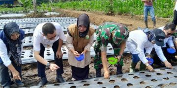 Pj Gubernur Tanam Bawang Merah di Estate Food Korem Teuku Umar