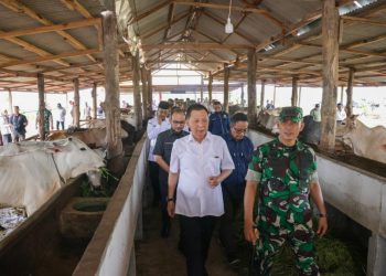 Penjabat Gubernur Tinjau Lahan Pertanian dan Peternakan di Makorem Teuku Umar