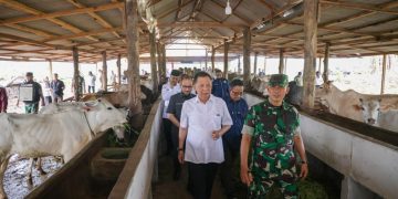 Penjabat Gubernur Tinjau Lahan Pertanian dan Peternakan di Makorem Teuku Umar