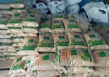 Kelompok Tani Al Falah Miliki Padi Varites Unggulan Produksi Mandiri