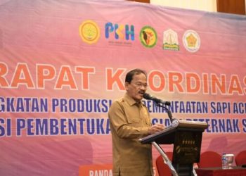 Pulau Aceh dan Pulau Raya Ditetapkan Sebagai Lokasi Pengembangan Sapi Aceh