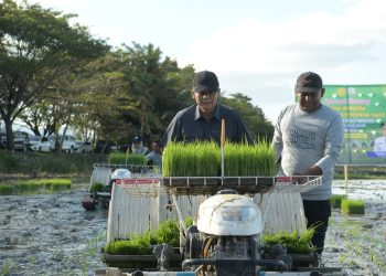 Penjabat Gubernur dan Wamentan Tanam Padi Perdana di Indrapuri