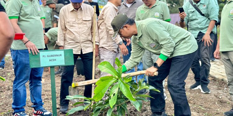 Asisten III Sekda Aceh Hadiri Gerakan Menanam Pohon di Saree