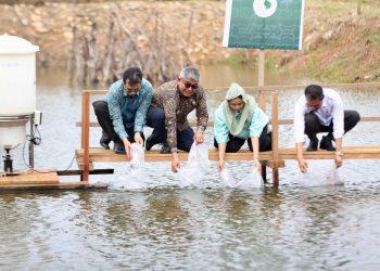 Pj Gubernur Aceh Dukung Program Pengembangan Tambak Udang Lewat Teknologi eFishery