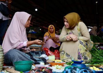 Marlina Muzakir Tinjau Harga Kebutuhan Pokok Menjelang Idul Fitri di Pasar Al-Mahirah