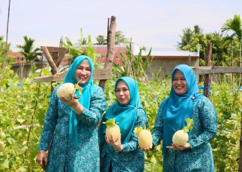 Cerita Tiga Srikandi, Panen Melon hingga Menikmati Tempe Koro