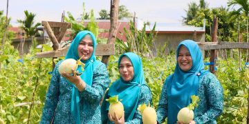 Cerita Tiga Srikandi, Panen Melon hingga Menikmati Tempe Koro