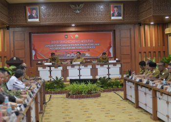 Di Hadapan Mendagri, Mualem Minta Percepatan Pemulihan Sawah dan Infrastruktur