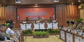 Di Hadapan Mendagri,  Mualem Minta Percepatan Pemulihan Sawah dan Infrastruktur