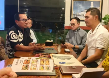 Sekda Aceh dan PLN Pusat Bahas Pengembangan PLTS demi Ketahanan Energi Daerah