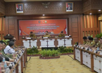 Mualem Minta Mendagri Percepat Pemulihan Sawah dan Jembatan Pascabencana di Aceh